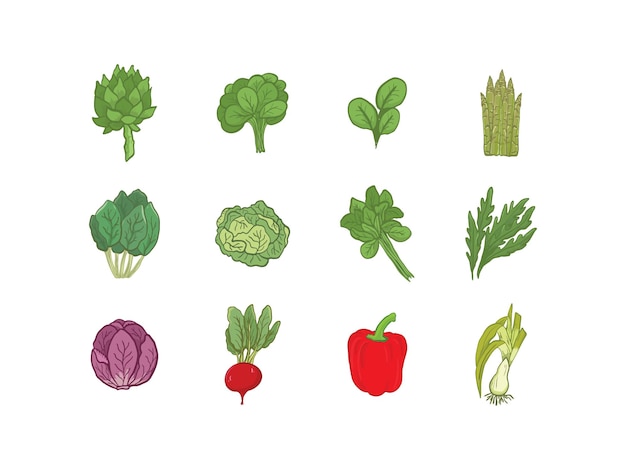 Set of Vegetable drawing vector illustration