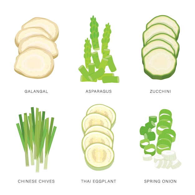 Vector set of vegetable slices. organic and healthy food isolated element illustration.