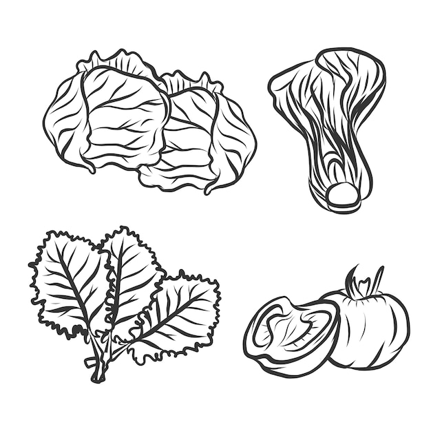 Set of Vegetables doodles vector