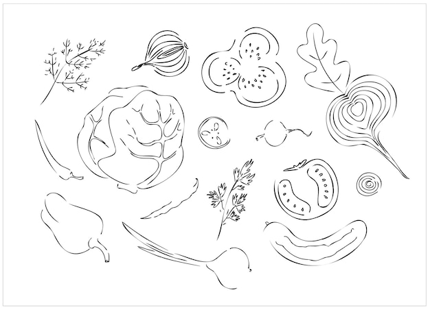 A set of vegetables drawn in the style of line art