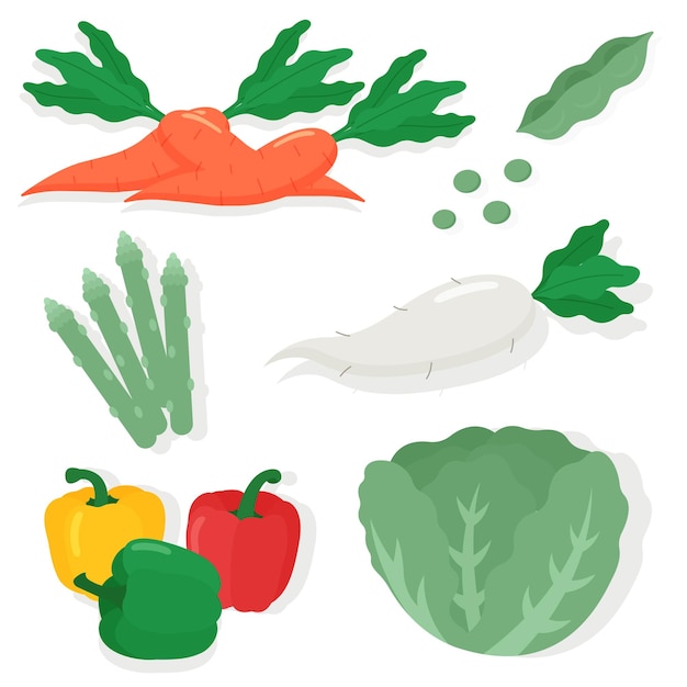 Vector set of vegetables fresh and healthy food