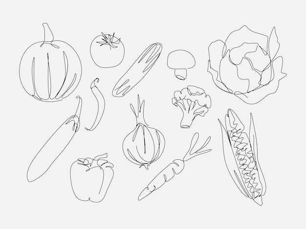 Vector set of vegetables fruit in one continuous line drawing style vector illustration