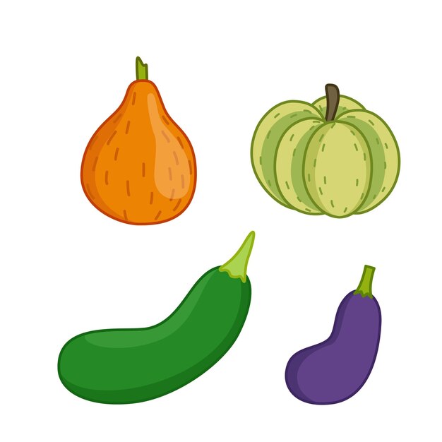 Set of vegetables Pumpkin eggplant vegetable marrow cucurbits crop Cartoon vector