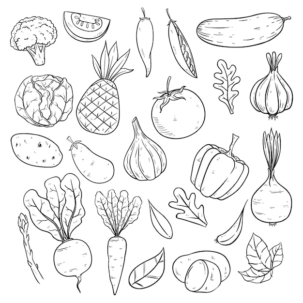 Vector set of vegetables with sketch or hand drawn style