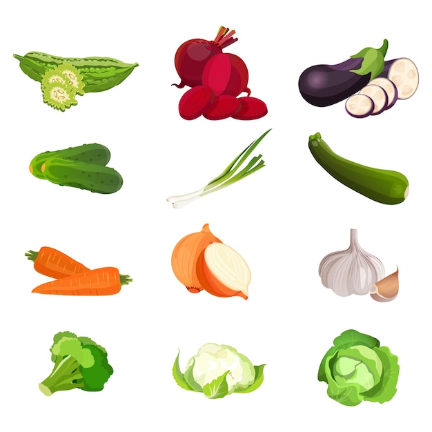 set of vegetables zucchini, sweet beet, organic broccoli, two carrots, whole and half fresh onion