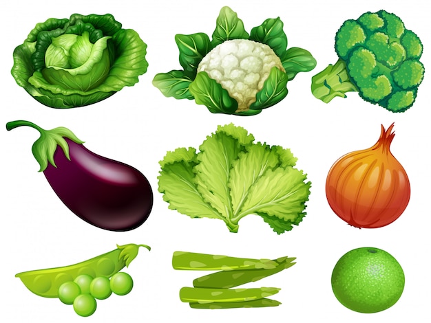 Set of vegetables