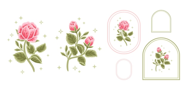 Set di elementi del logo dell'etichetta floreale vintage di bellezza femminile rosa peonia con cornice per le donne