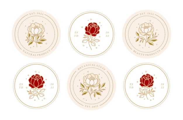 Set di elementi di logo vintage di bellezza femminile rosa e fiore di peonia con cornice