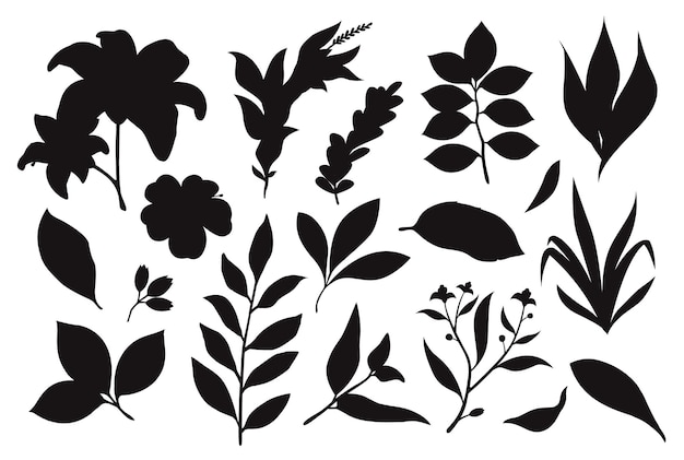 Set Vintage hand drawn floral Elements Vectors Silhouettes.