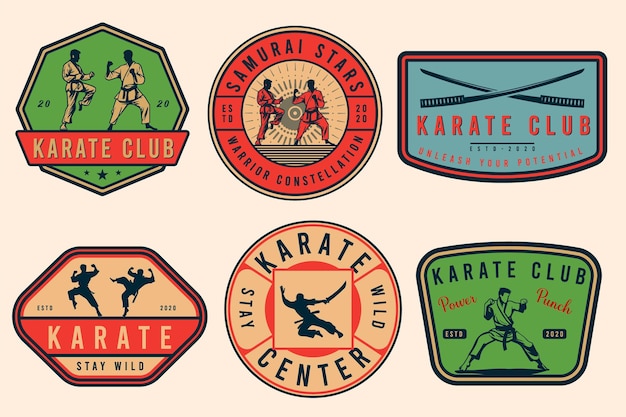 Vettore set di logo vintage di karate o arti marziali emblemi icone ed etichette stile monocromatico