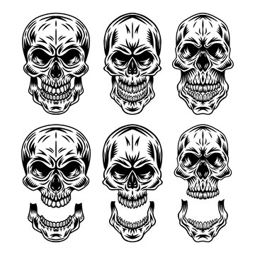 Premium Vector | Set of vintage retro human skull and jaw isolated ...