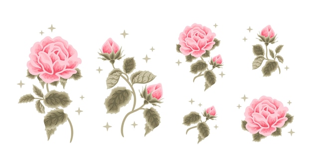 Set vintage romantische pastel roze roos bloem vrouwelijk logo schoonheid label clipart illustratie