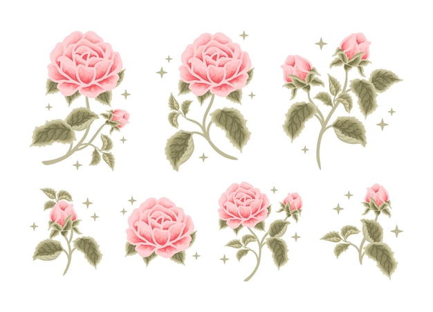 Set vintage romantische perzik roze roos bloem clipart en lila blad tak vrouwelijke schoonheid logo