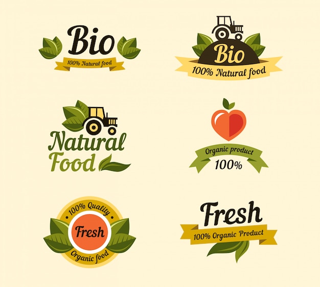 Set of vintage style elements for labels, badges organic food and drink