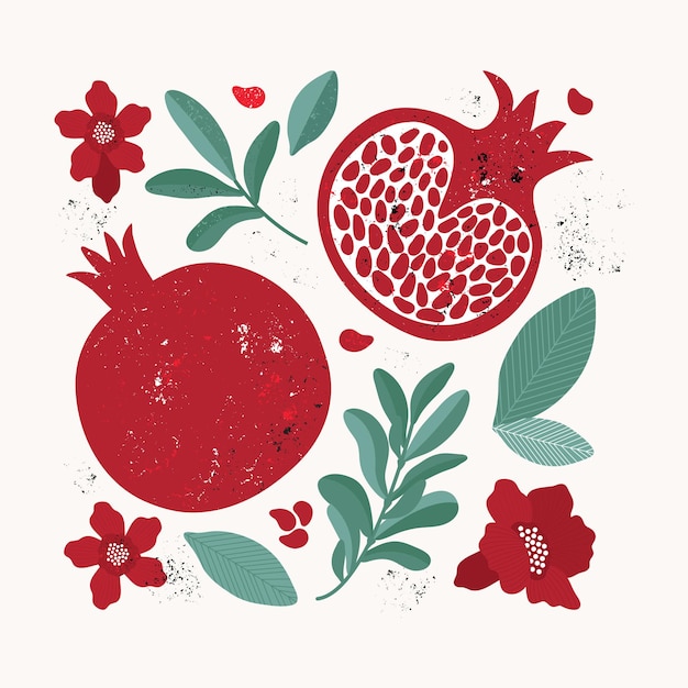 Set of vintage style, red pomegranate, leaves, flowers, fruit, branch.