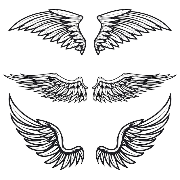 Set vintage vleugels op witte achtergrond. elementen voor logo, label, embleem, teken, merkmarkering.
