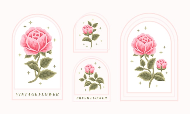 Set vintage vrouwelijke schoonheid roze bloemen logo-elementen met frame