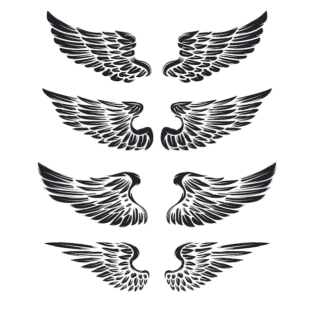 白い背景の上のヴィンテージの翼のセットです。ロゴ、ラベル、エンブレム、記号、ブランドマークの要素。