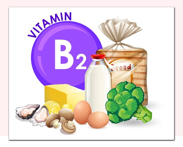 Vector a set of vitamin b2 food