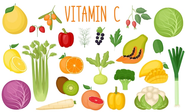 Insieme di fonti di vitamina c. cibo salutare. raccolta di frutta e verdura arricchita con vitamina c. illustrazione vettoriale