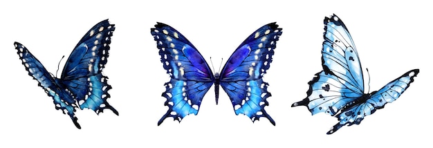 Vector set vlinder aquarel vector elementen ontwerp geïsoleerd op een witte achtergrond