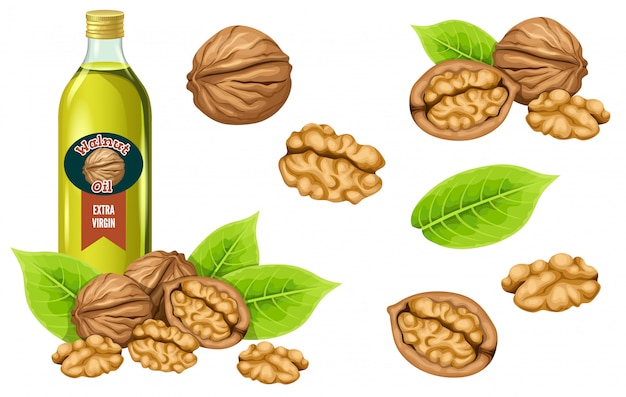Set walnut oil, seed and leaf.