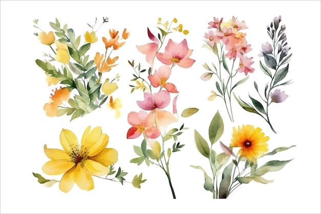 Set watercolor arrangements with garden flowers Decorative flower elements template Flat cartoon illustration isolated on white background