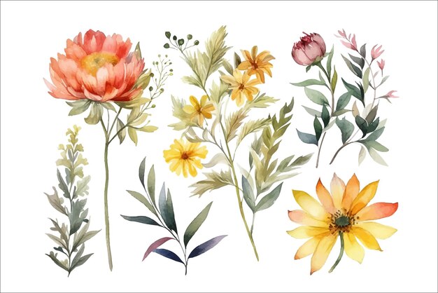 Set watercolor arrangements with garden flowers Decorative flower elements template Flat cartoon illustration isolated on white background