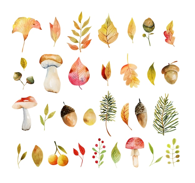Set of watercolor autumn plants yellow tree leaves, oak leaves, acorns and mushrooms  hand painted isolated illustrations on a white background