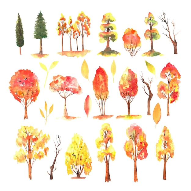 Set of watercolor autumn trees, fall forest clipart