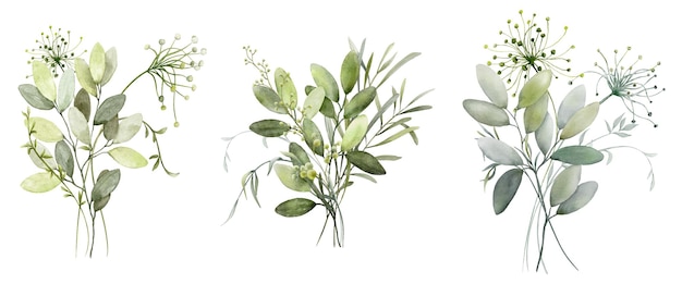 Set di bouquet di acquerelli di foglie verdi elementi di rami collezione vetore botanico isolato su sfondo bianco adatto per invito di matrimonio salvare la data ringraziamento o biglietto di auguri