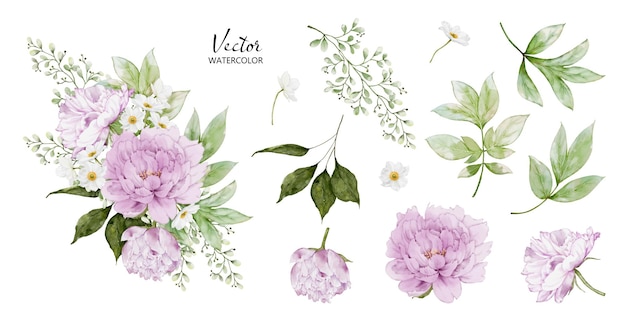 Vettore set di bouquet ad acquerello con elementi di fiori di peonia