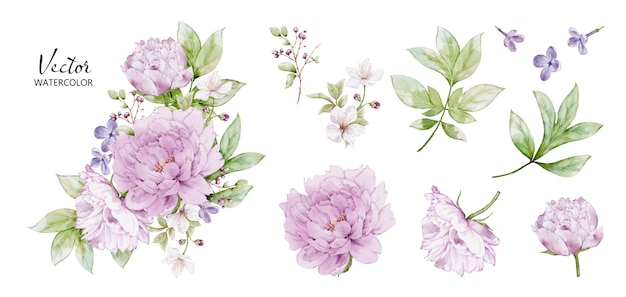 Vettore set di bouquet ad acquerello con elementi di fiori di peonia