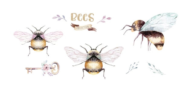 Set di insetti volanti e api di scarabei luminosi ad acquerello isolato colorato cartone animato buttle e bug insetto