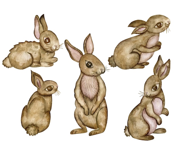 Vector set of watercolor brown bunnies hand draw fluffy forest animals illustartion for wall sticker