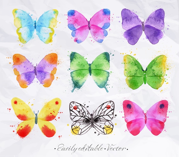 Set watercolor butterfly