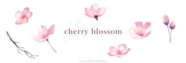 Set of watercolor cherry blossom vector elements design