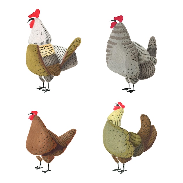 Set of watercolor chickens and roosters