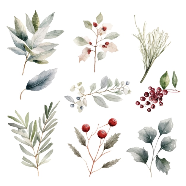 Vector set of watercolor christmas elements