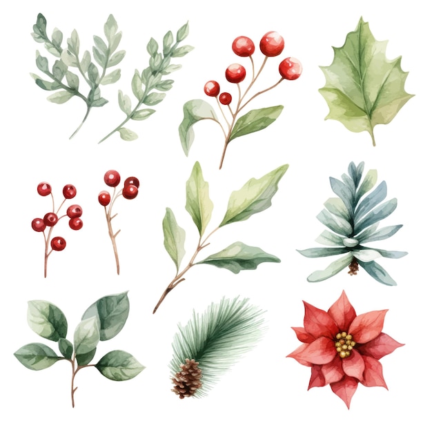 Vector set of watercolor christmas elements