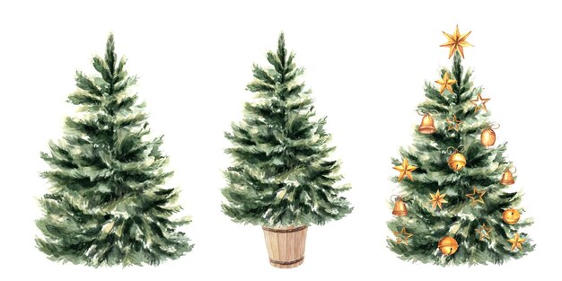 Vector set of watercolor christmas trees hand drawn cute illustrations