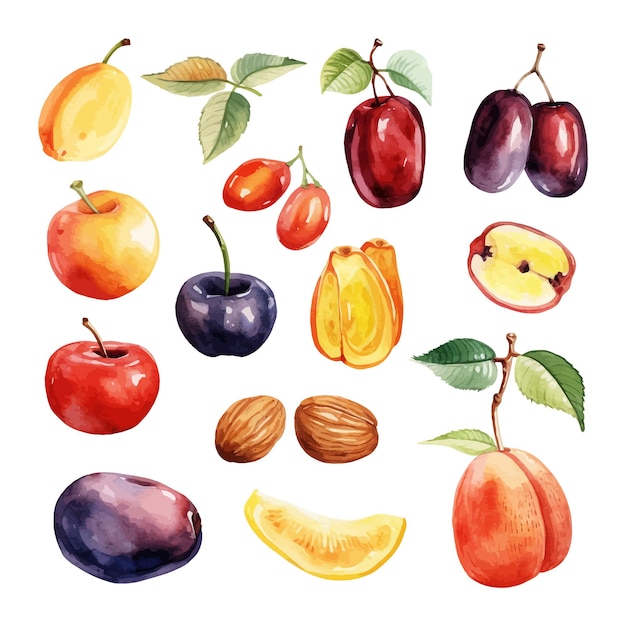 Set di sfondo bianco clipart di frutta dattero dell'acquerello