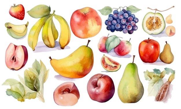 Una serie di disegni ad acquerello di frutta e verdura