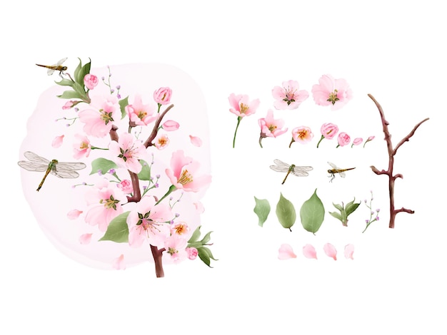 Vector set watercolor elements cherry blossom and dragonfly