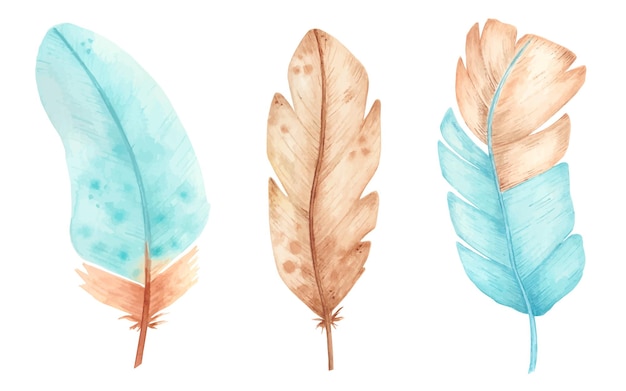 Set of watercolor feathers clipart