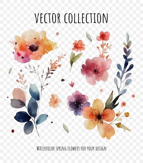 Vector set of watercolor floral design elements isolated on transparent background