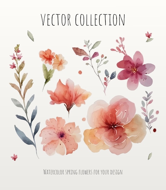 Vector set of watercolor floral design elements isolated on transparent background