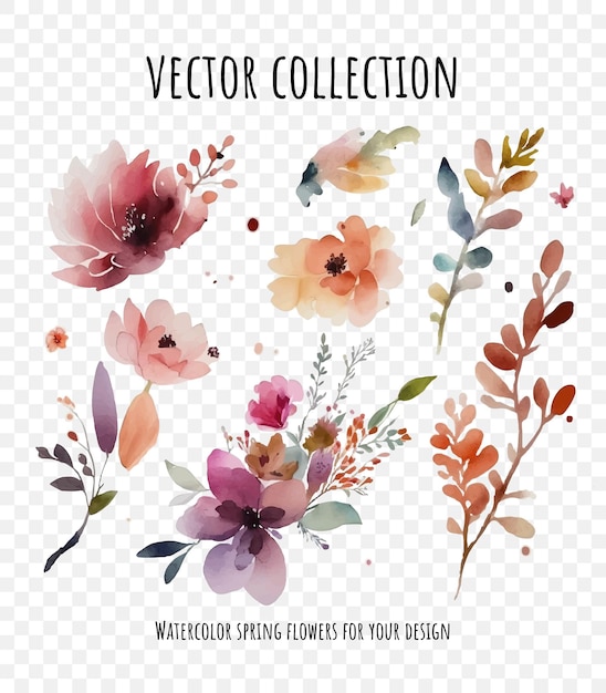 Vector set of watercolor floral design elements isolated on transparent background