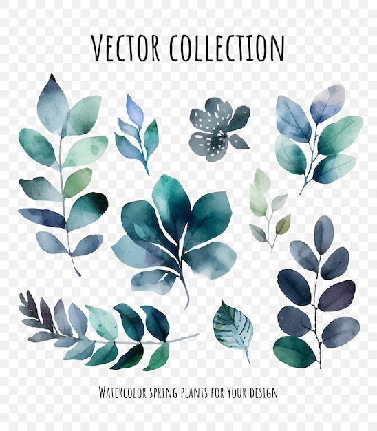 Vector set of watercolor floral leaves design elements isolated on transparent background