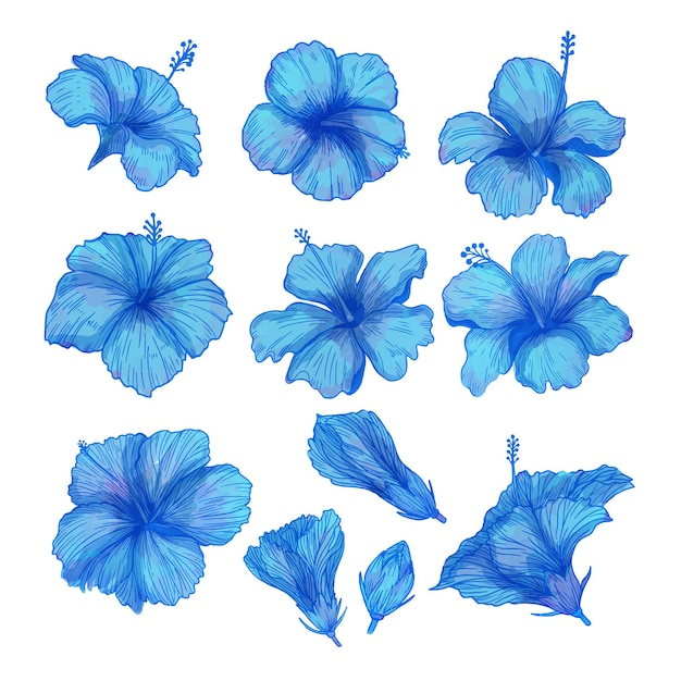 Vector set of watercolor flower blue flora clipart